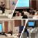 Centre for a Smart Future and Max Planck Foundation Support Launch of Sri Lanka’s Business and Human Rights Guidelines